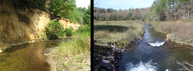 Various shots of Lake Julia before and after restoration efforts